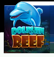 Dolphin Reef